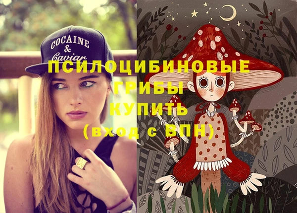 первитин Богданович