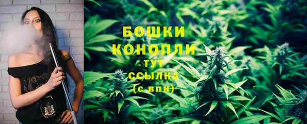 spice Дубна