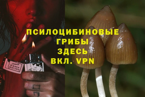 первитин Богданович