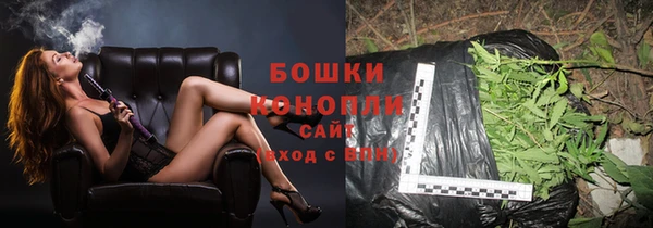 первитин Богданович